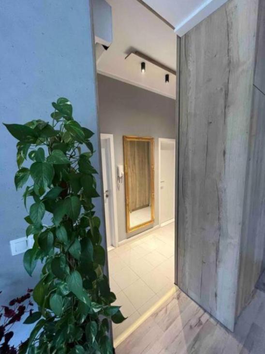 Cozy Apartment Братислава Экстерьер фото